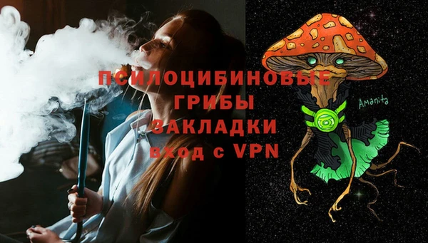 ПСИЛОЦИБИНОВЫЕ ГРИБЫ Нефтекумск