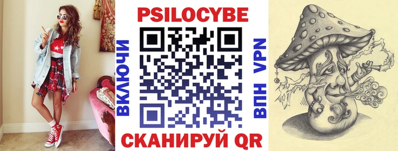 Галлюциногенные грибы Psilocybine cubensis Шелехов